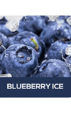 AIRIS Lux P5000 puffs [5%] Blueberry Ice