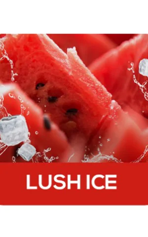 AIRIS Lux P5000 puffs [5%] Lush Ice - одноразовая перезаряжаемая ПОД система Аирис П5000 Люкс Айс Арбуз